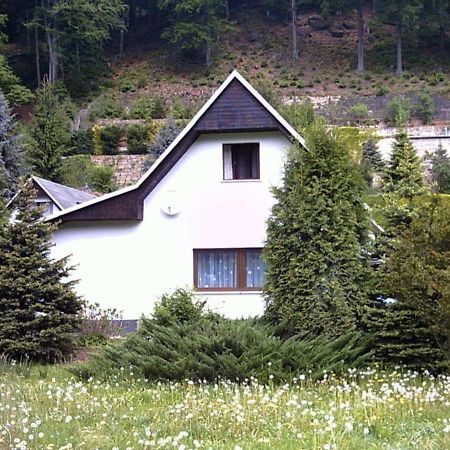 Ferienhaus Greti Щат Велен Екстериор снимка